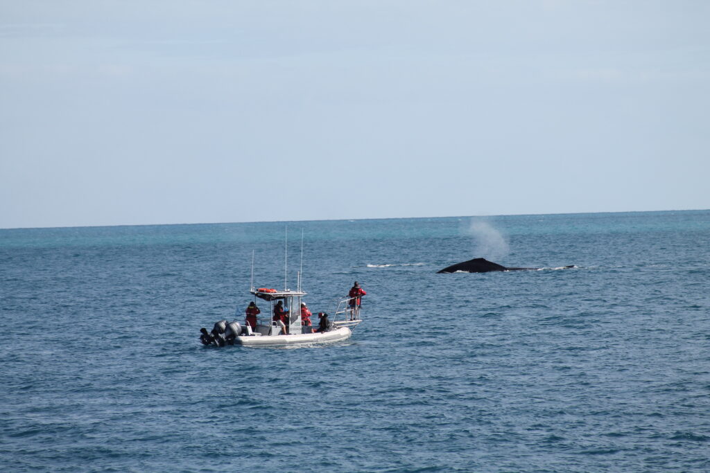 Dana boat credit Blue Planet Marine and CEAL