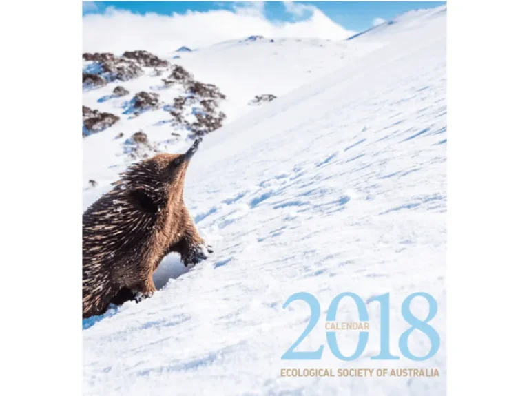 Calendar photos bring ecology to life